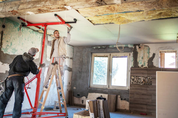Best Commercial Insulation in Mendon, UT