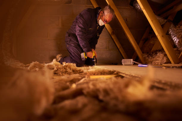 Best Residential Insulation in Mendon, UT